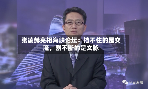张凌赫亮相海峡论坛：挡不住的是交流，割不断的是文脉-第2张图片
