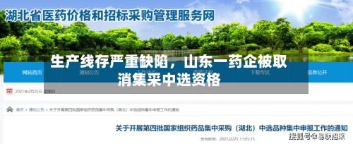 生产线存严重缺陷，山东一药企被取消集采中选资格-第3张图片