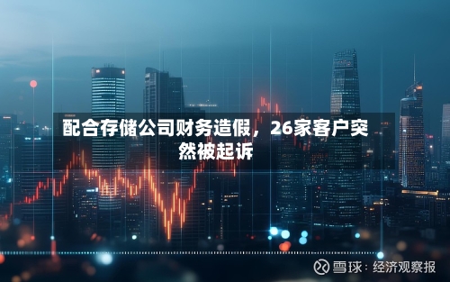 配合存储公司财务造假	，26家客户突然被起诉-第2张图片
