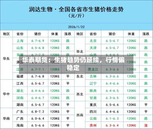 华泰期货：生猪趋势仍延续，行情偏稳定-第3张图片